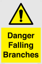 danger-falling-branches~